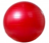 Мяч гимнастический гладкий с системой ABS VEGA - 501/55